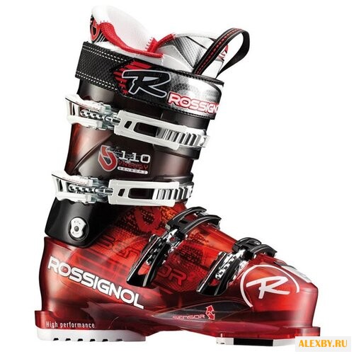 Ботинки для горных лыж