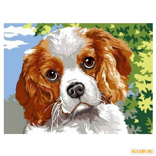 Paintboy Картина по номерам