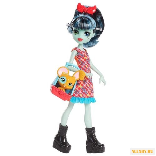 Кукла Monster High Семейка