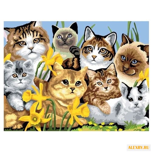 Royal & Langnickel Картина по