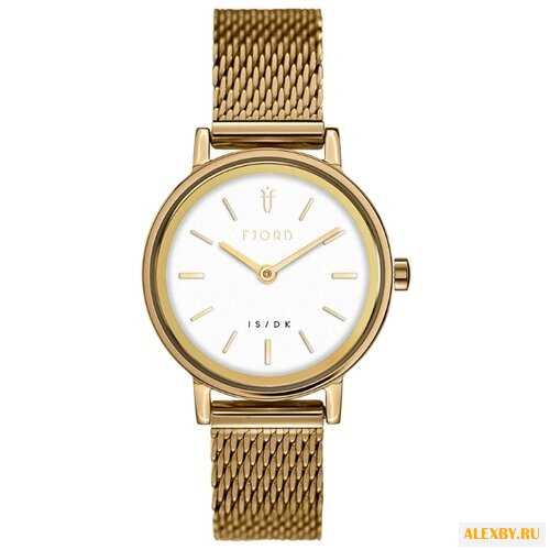 Наручные часы FJORD FJ-6045-22