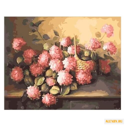 Molly Картина по номерам