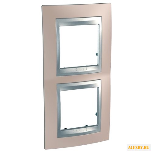 Рамка 2п Schneider Electric