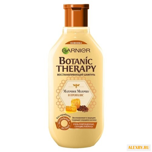 GARNIER шампунь Botanic Therapy