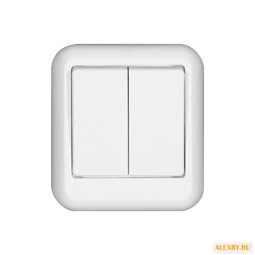 Выключатель 2х1-полюсный