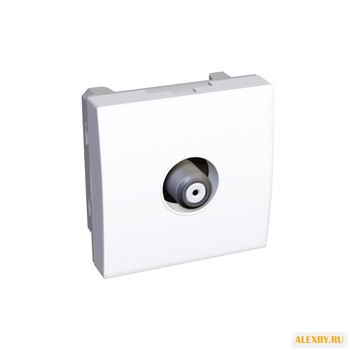 Антенное гнездо Schneider