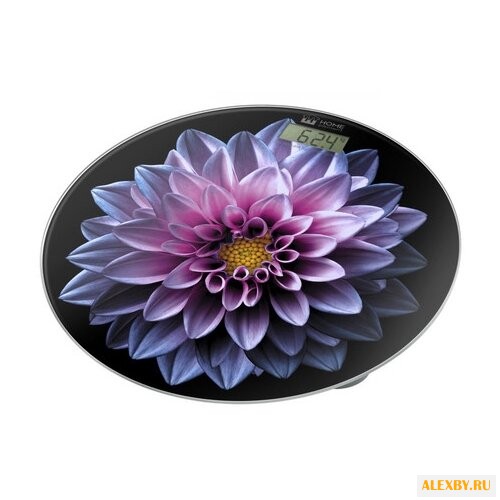 Весы Home Element HE-SC908