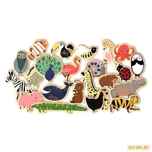 Игровой набор DJECO Магнимо 03124