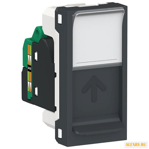 Розетка для интернета