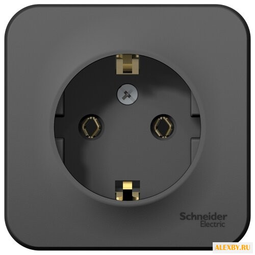 Розетка Schneider Electric