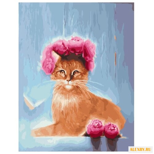 Paintboy Картина по номерам