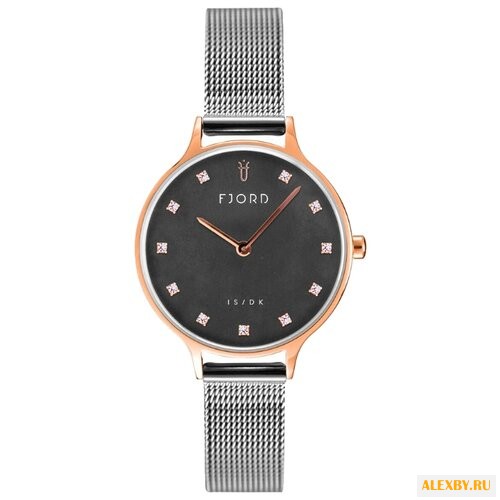 Наручные часы FJORD FJ-6041-66