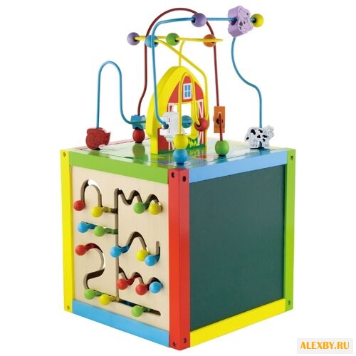 Развивающая игрушка Viga Куб 5