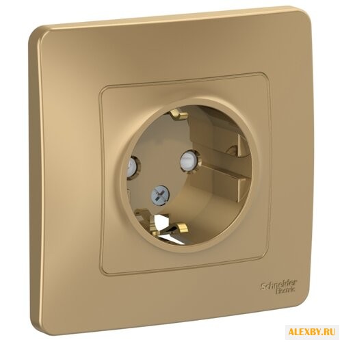 Розетка Schneider Electric