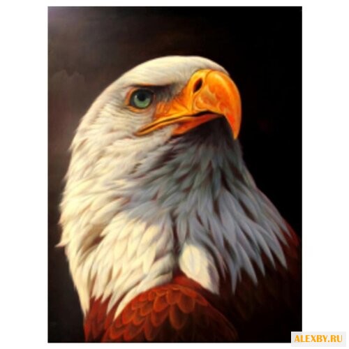 Hobbart Картина по номерам