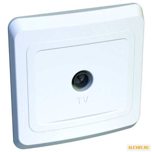 Антенное гнездо Schneider