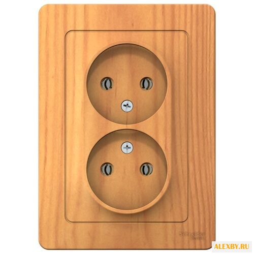 Розетка Schneider Electric