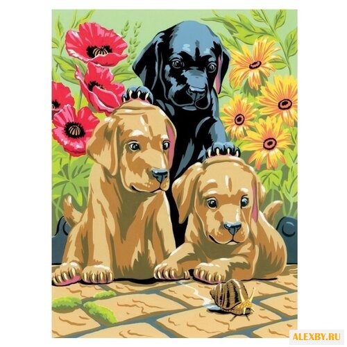 Royal & Langnickel Картина по