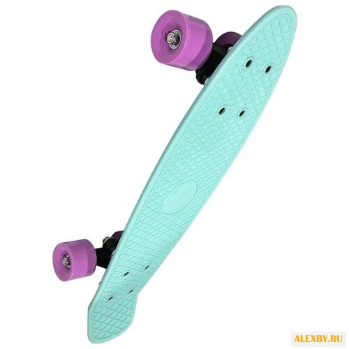 Лонгборд Indigo LS-P2206-D