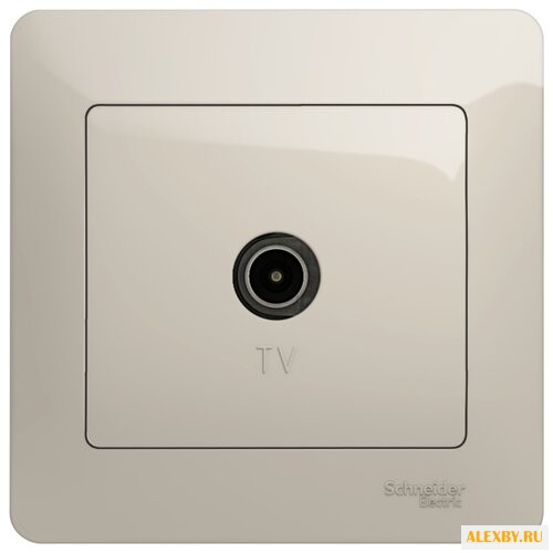 Антенное гнездо Schneider