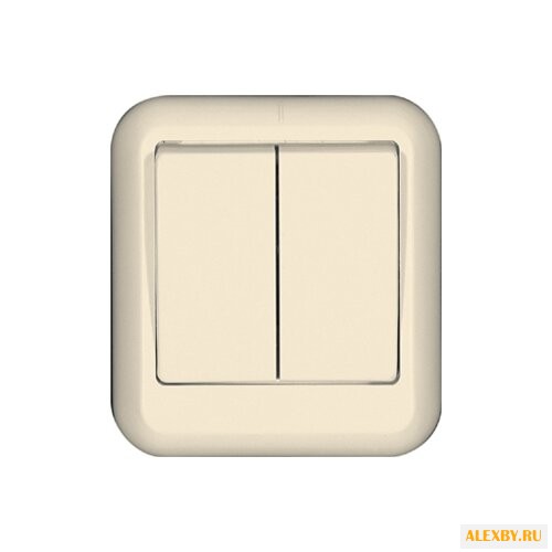 Выключатель 2х1-полюсный