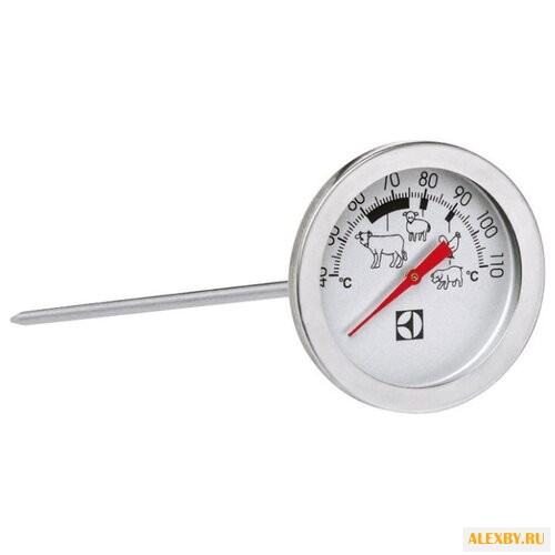 Термометр Electrolux E4TAM01