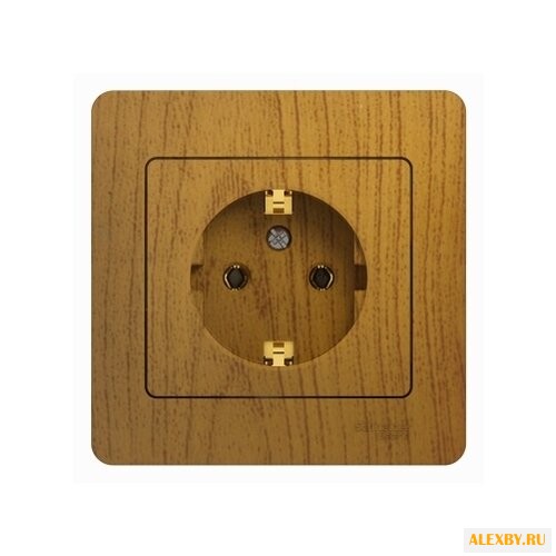 Розетка Schneider Electric