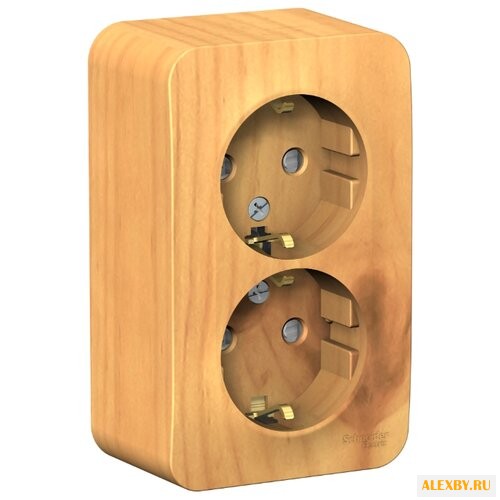 Розетка Schneider Electric