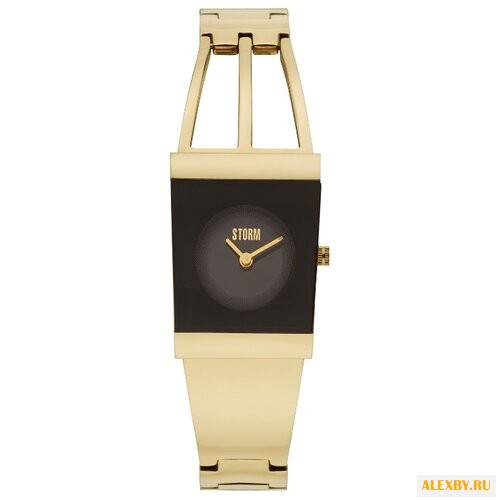 Наручные часы STORM Jelica Gold