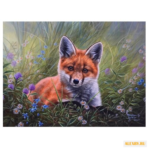 Hobbart Картина по номерам Лис