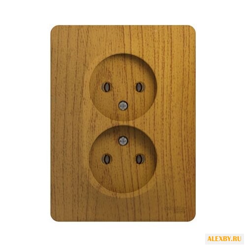 Розетка Schneider Electric