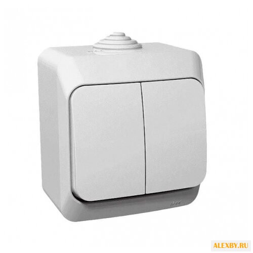 Выключатель 2х1-полюсный