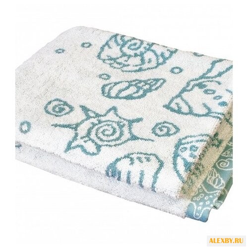 ДеНАСТИЯ Ракушки