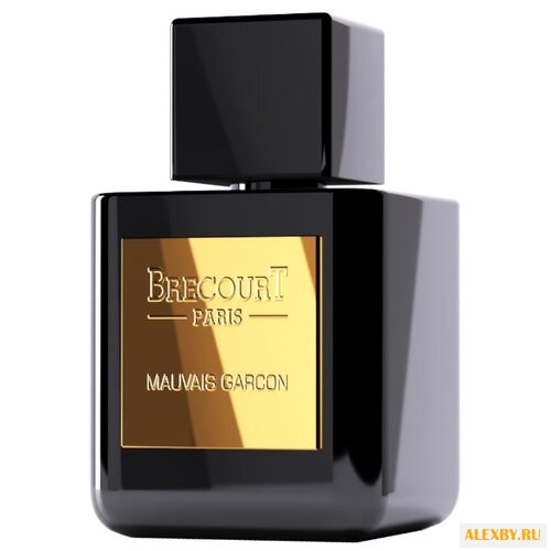 Brecourt Mauvais Garcon