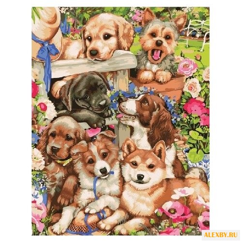 Paintboy Картина по номерам