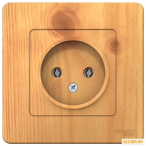 Розетка Schneider Electric