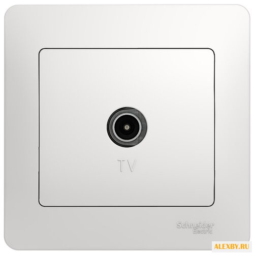 Антенное гнездо Schneider