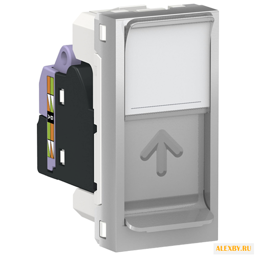 Розетка для интернета