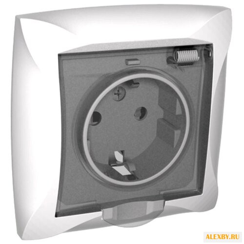 Розетка Schneider Electric