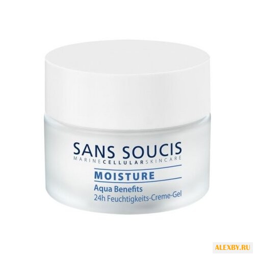 Sans Soucis Moisture Aqua