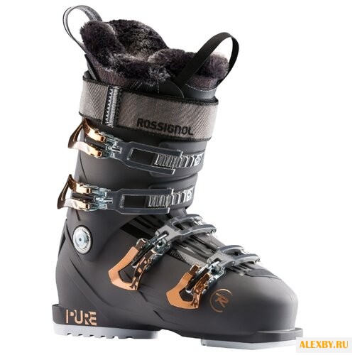 Ботинки для горных лыж