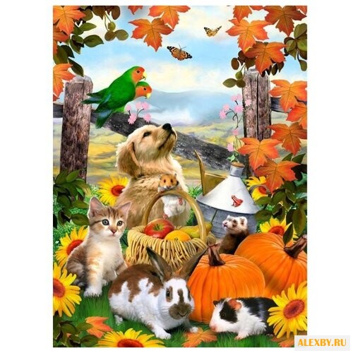 Royal & Langnickel Картина по