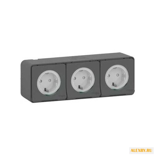 Розетка Schneider Electric