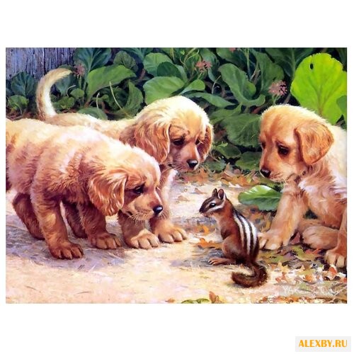 Menglei Картина по номерам