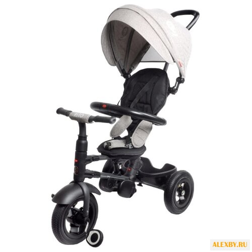 Трехколесный велосипед QPlay QA6