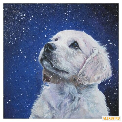 Hobbart Картина по номерам