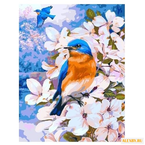 Paintboy Картина по номерам