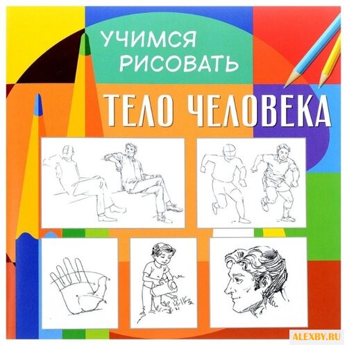 Учимся рисовать. Тело человека.