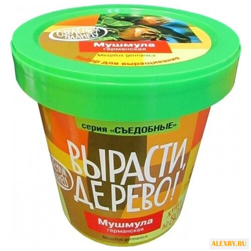 Набор для выращивания Вырасти