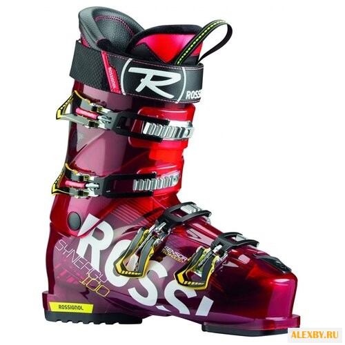 Ботинки для горных лыж